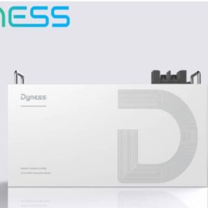 DYNESS 25.6V 100Ah (2.5KW) Lithium Ion Battery
