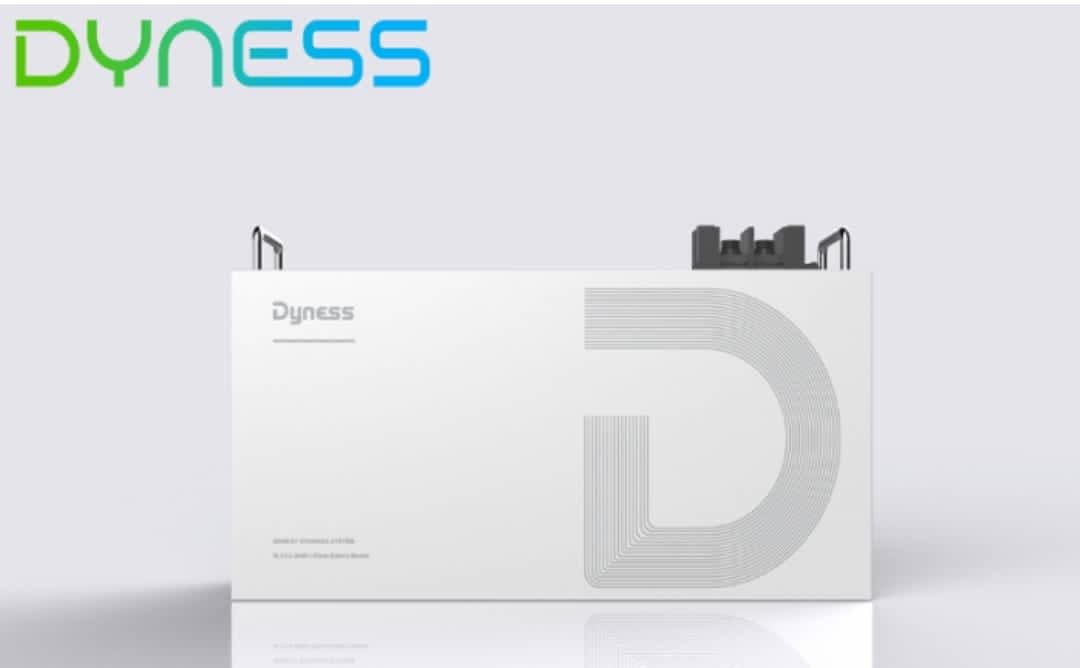 DYNESS 25.6V 100Ah (2.5KW) Lithium Ion Battery